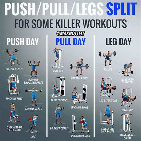 Push/Pull/Legs Weight Training Workout Schedule For 7 Days - GymGuider ...