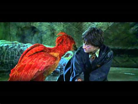 Phoenix Harry Potter