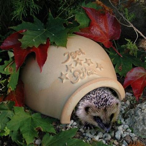 1000+ images about Igel on Pinterest | Hedgehog home, Pets and The hedgehog