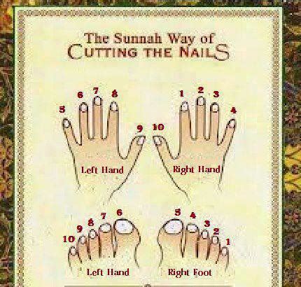 ISLAMIC QUOTATIONS: Sunnah Way of Cutting the Nails