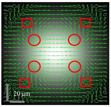 Class 12 ch-10 plane of polarization & plane of vibration - kienitvc.ac.ke