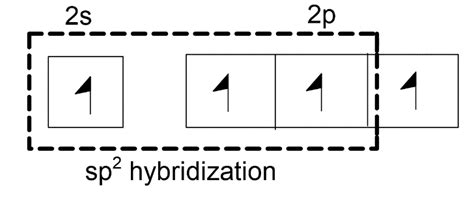 Explain hybridization of central atom in: $CO_{3}^{2-}$