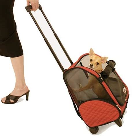 8 Airline Approved Pet Carriers (For In-Cabin Flights)