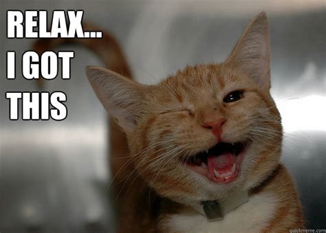 Relax... I got This - Cheer up Cat - quickmeme