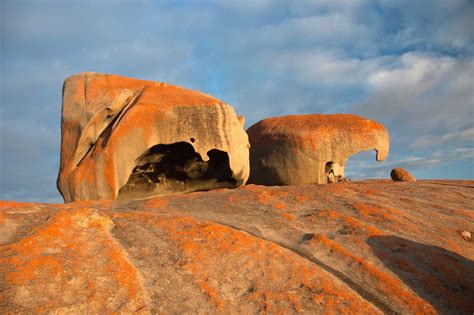 11 Best Things to Do in Kangaroo Island that will WOW you!