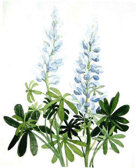 Blue Lupine Watercolor Garden - Etsy | Flower painting, Floral painting, Watercolor flowers