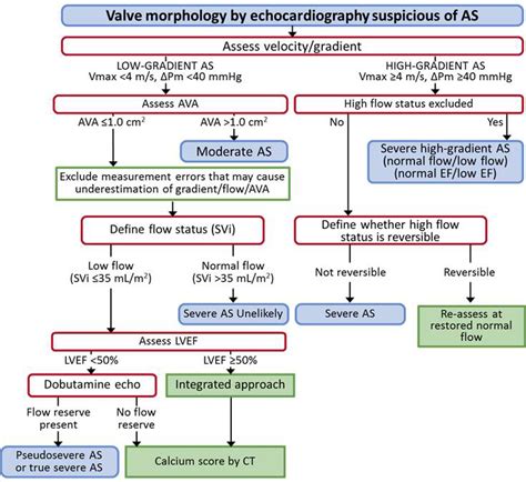 low flow low gradient aortic stenosis diagnosis - Torrie Salinas