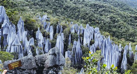 Mystical Caves of Gunung Mulu National Park - Gaya Travel Magazine