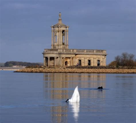 Pin on Rutland Water Nature Reserve