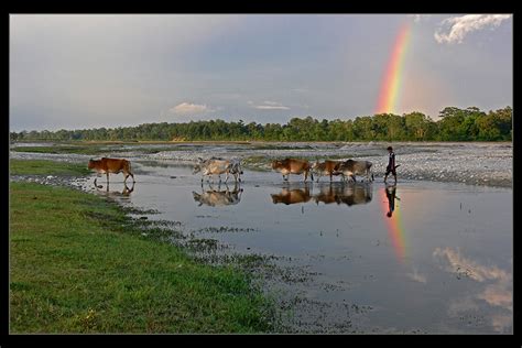 Jalpaiguri Photo by Partha Pratim Saha | 4:28 pm 28 Oct 2008