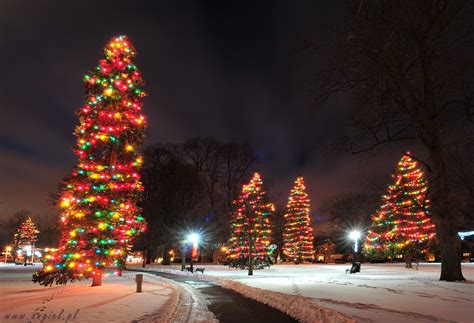 Piotr Angiel Photography: Winter Wonderland in London Ontario