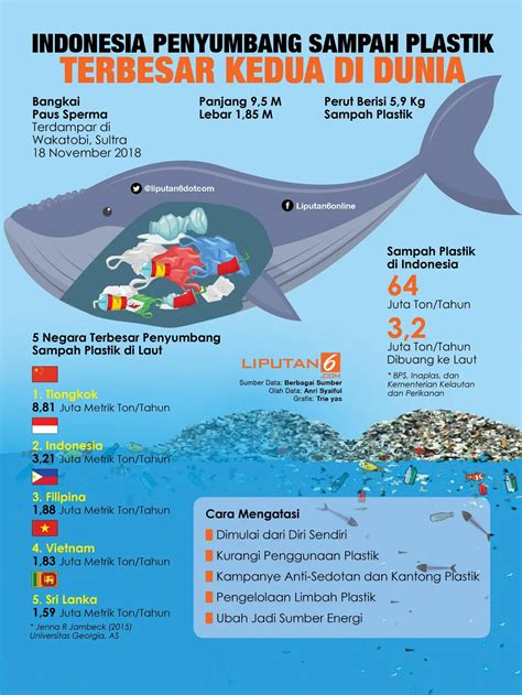 Rumput Laut Bisa Membantu Atasi Krisis Sampah Plastik Dunia? - Lifestyle Liputan6.com