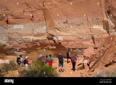 The Horseshoe Gallery along Horseshoe Canyon Trail, Canyonlands National Park-Horseshoe Canyon ...