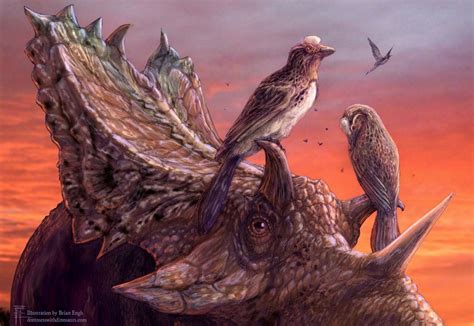 Most complete enantiornithine bird fossil fro | EurekAlert!