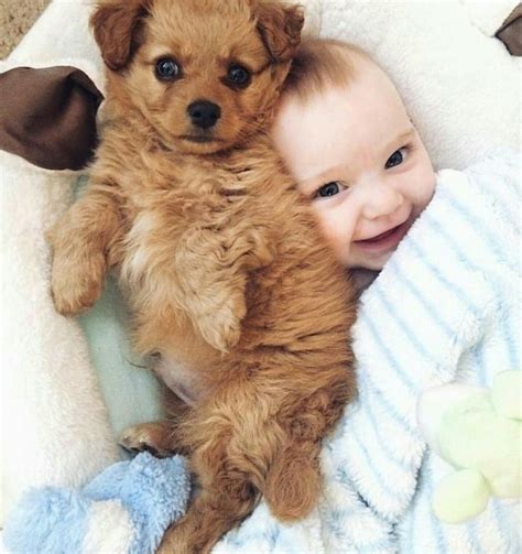 Pin by Sara Jolie on Smile | Baby puppies, Puppy photos, Dog cuddles