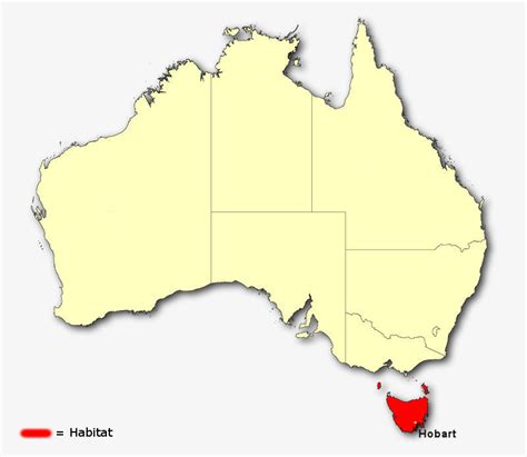 Tasmanian Devil - Threatened Habitats