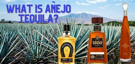 What Is Anejo Tequila? The Definitive Guide to Anejo Tequila | Bartrendr