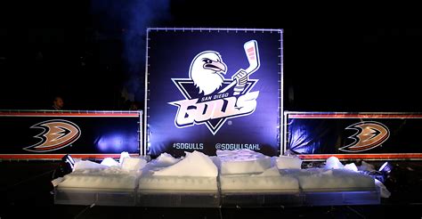 A Look Back: Building The Gulls Brand | San Diego Gulls