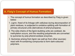 Process of humus formation | PPT