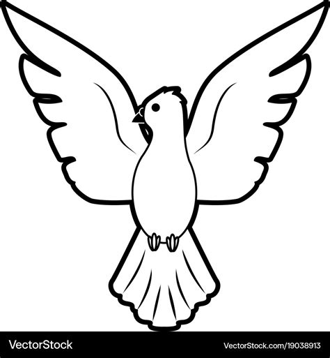 Dove bird cartoon Royalty Free Vector Image - VectorStock