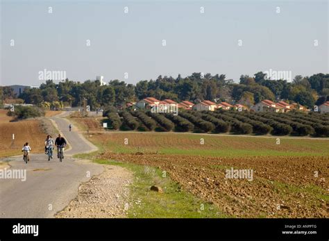 Family outing in Kibbutz Be'eri. An organic wheat field is on the right, orange groves and ...