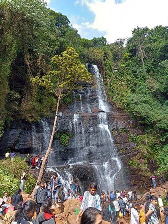 Jhari Waterfalls (Chikmagalur) - 2019 What to Know Before You Go (with Photos & Reviews ...