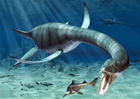 Plesiosaurus Facts Prehistoric Wildlife, Prehistoric Creatures ...