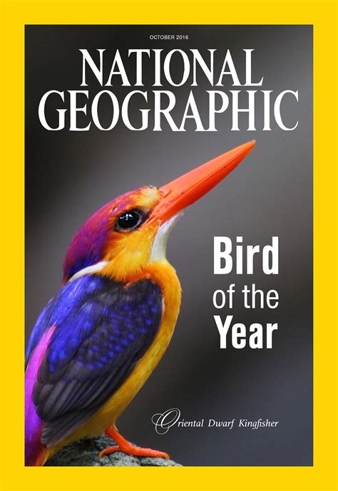 National Geographic Covers on Behance