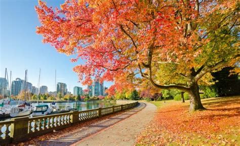 Best spots for colourful fall leaves in Canada | Canadian Immigrant