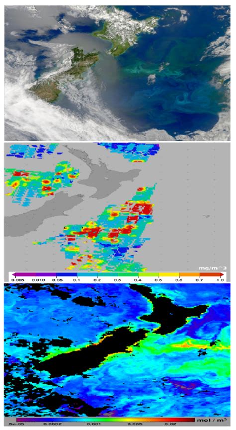 A case study of phytoplankton bloom detection by PhytoDOAS: the upper ...