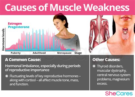 Muscle Weakness | SheCares