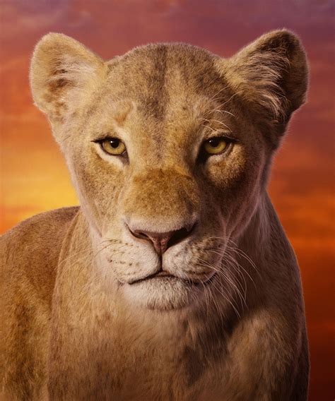 Beyoncé's Nala Voice In The New Lion King Trailer Is Truly Mesmerising ...