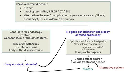 The first step for the management of pain in patients with chronic ...