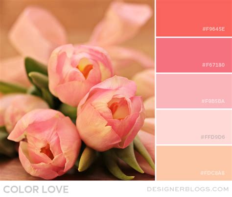 Color Love | Tulip Pink & Peach - Designer Blogs