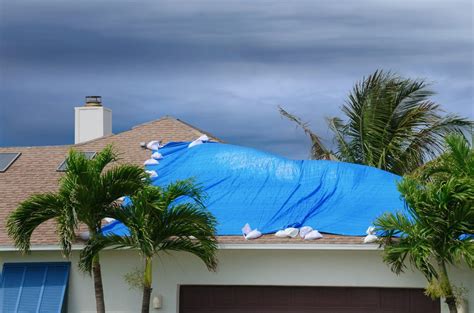 Waterproof Roof Tarp, Roof Sheet Cover or Roof Covering - Tarp Factory