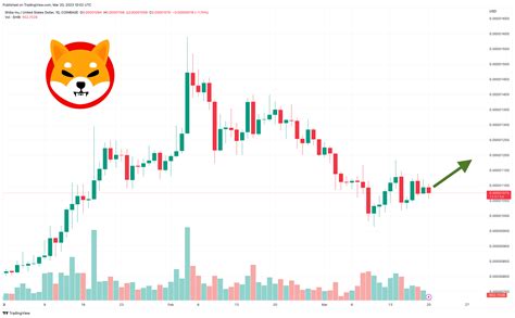 Shiba Inu Price Prediction As SHIB Becomes Top 15 Crypto by Market Cap – Can SHIB Get to 1 Cent?