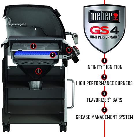 Weber Genesis 2 Manual