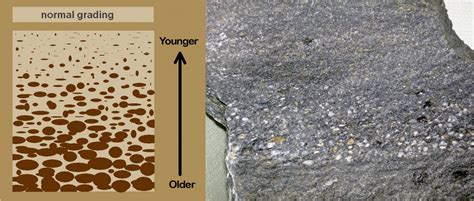 Chapter 4: Sedimentary Structures – The Story of Earth