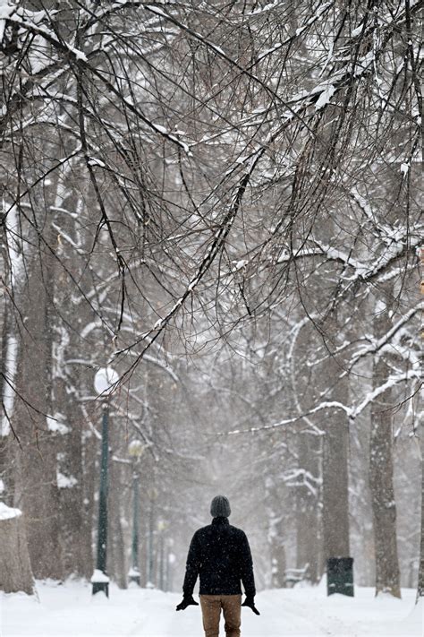 Colorado weather: Photos of the snowstorm that hit Denver Wednesday