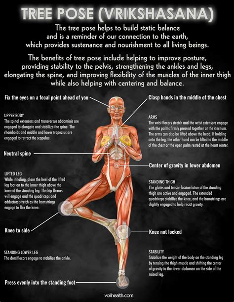 Tree Pose Benefits (Vrikshasana)