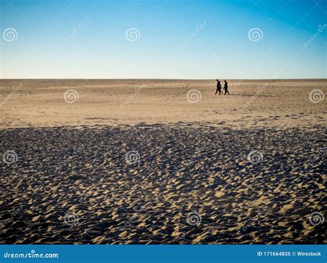 Group of People Walking on the Beach during Daytime Stock Image - Image ...