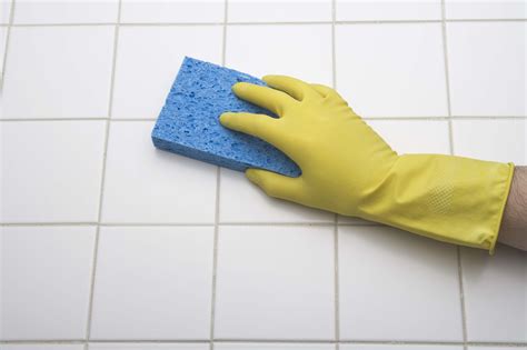 Should I Use Cellulose Sponges for Cleaning?