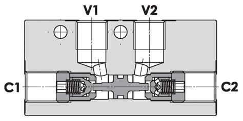 Double pilot operated check valve, line mounted