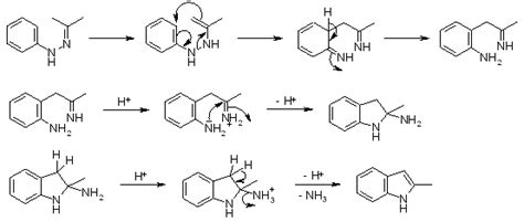 Fischer Indole Synthesis