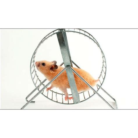 Hamster Wheel (18cm / 7-inch) - High Quality | Shopee Malaysia