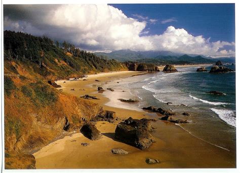 an aerial view of the beach and ocean with rocks in the foreground, trees on the other side