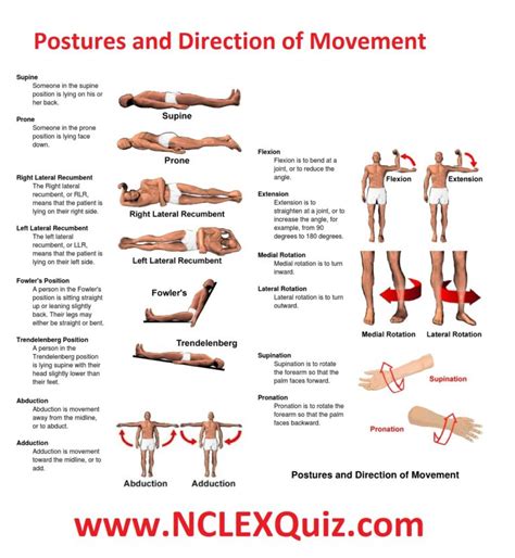 Patient Positioning Cheat Sheet for Nursing Students - NCLEX Quiz