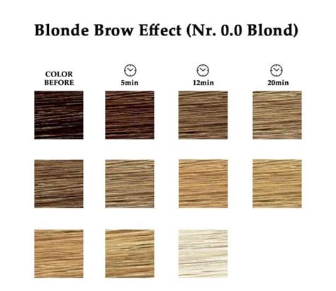 refectocil eyebrow tint colour chart reviews of chart - colour match refectocil | eyebrow tint ...