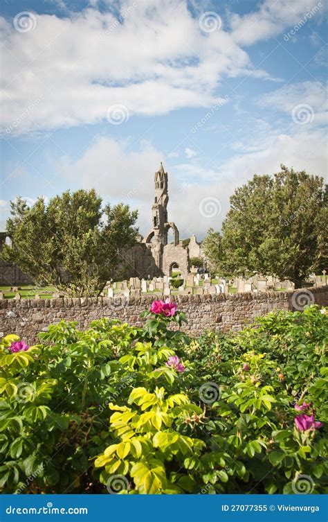 St Andrews Cathedral stock image. Image of architecture - 27077355