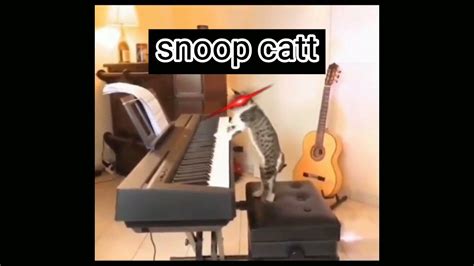 Snoop Catt - YouTube